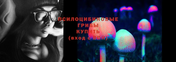 ешки Балахна